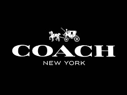 edzo-124-outlet-news