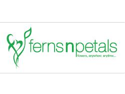 FNP E Retail Pvt Ltd